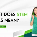 What does STEM areas mean?