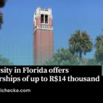 University in Florida offers scholarships of up to R$14 thousand for short courses